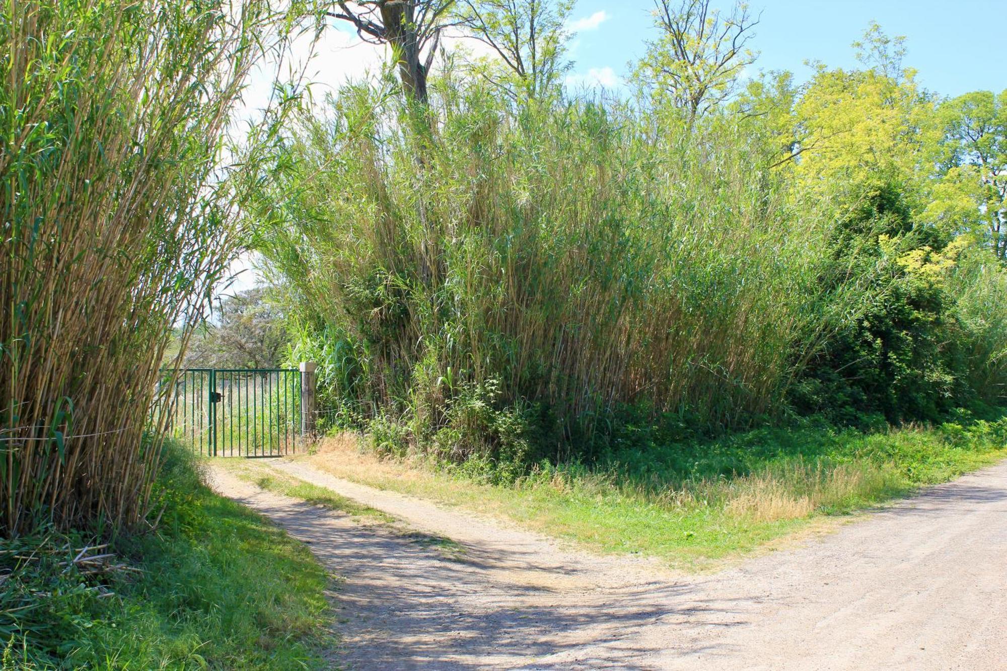 Lobilum En Camargue Villa Saint-Martin-de-Crau Exterior foto
